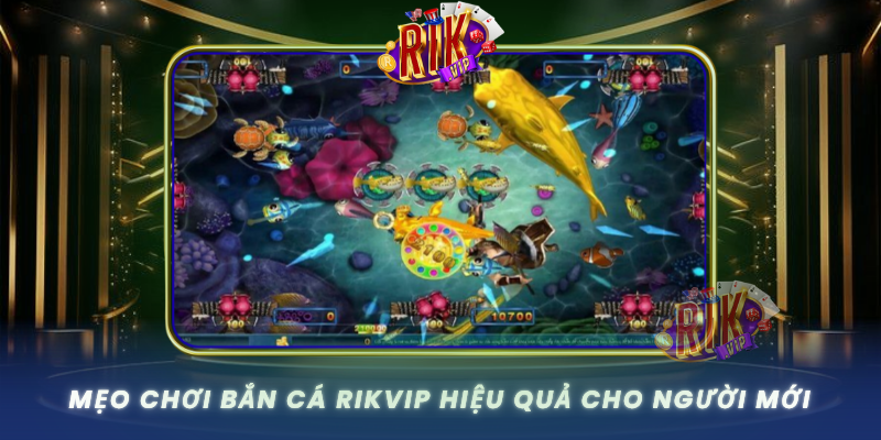 Meo Choi Ban Ca Rikvip Hieu Qua Cho Nguoi Moi